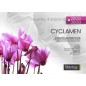 Couette synthéthique Cyclamen 200g + 300g - Biotex Couette synthéthique Cyclamen 200g + 300g - Biotex
